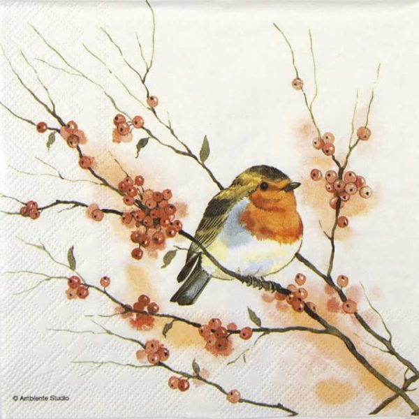 Paper Napkins - Birdy Robin (20 pieces)