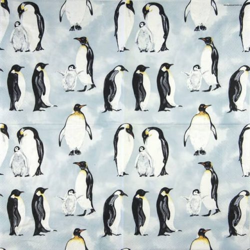 ambiente-penguins-33316565