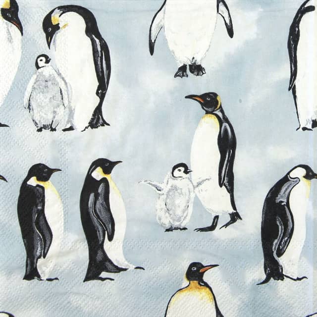 Single Paper Napkin - Penguins