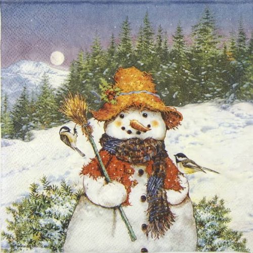 Paper Napkin Snowman and Birds