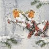 Paper Napkin - Winter Birds