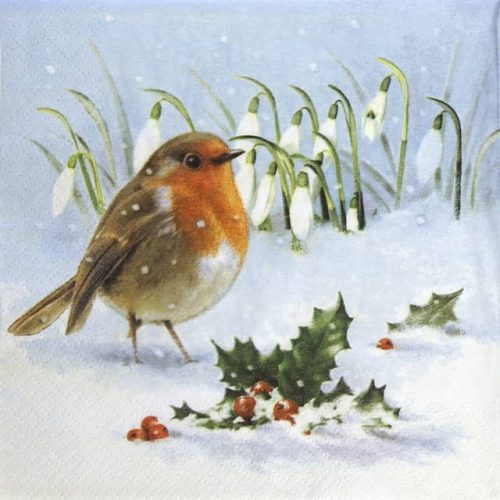Paper Napkin Robin, Holly and Snowdrops