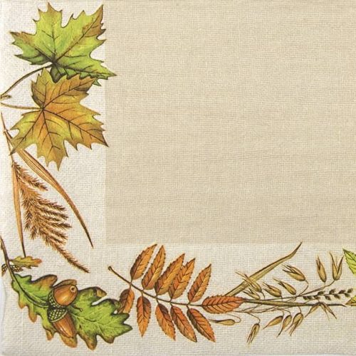 Paper Napkin Autumn Leaves Frame