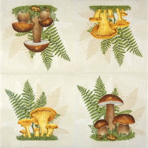 Paper Napkin Boletus with Leaves of Fern