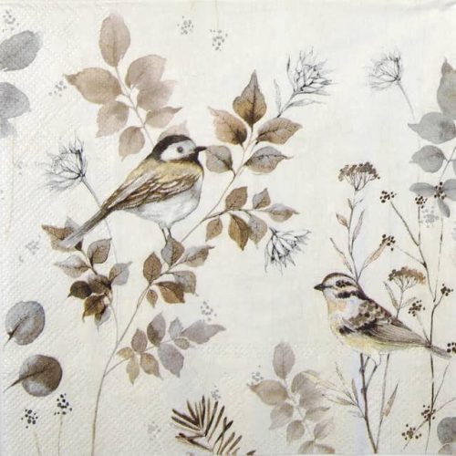 Paper Napkin Woodland Birds nature