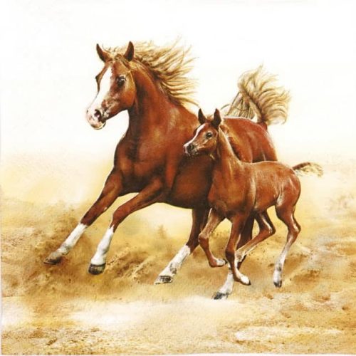 Paper Napkins - Mare with Foal (20 pieces)