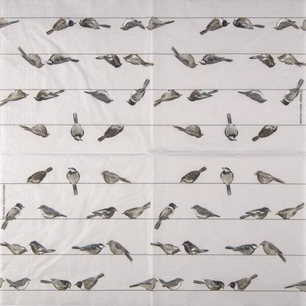 Papern Napkin - Birds