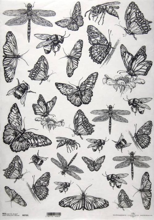 Rice Paper Decoupage Insects