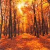 Paper Napkin - Autumn Forest