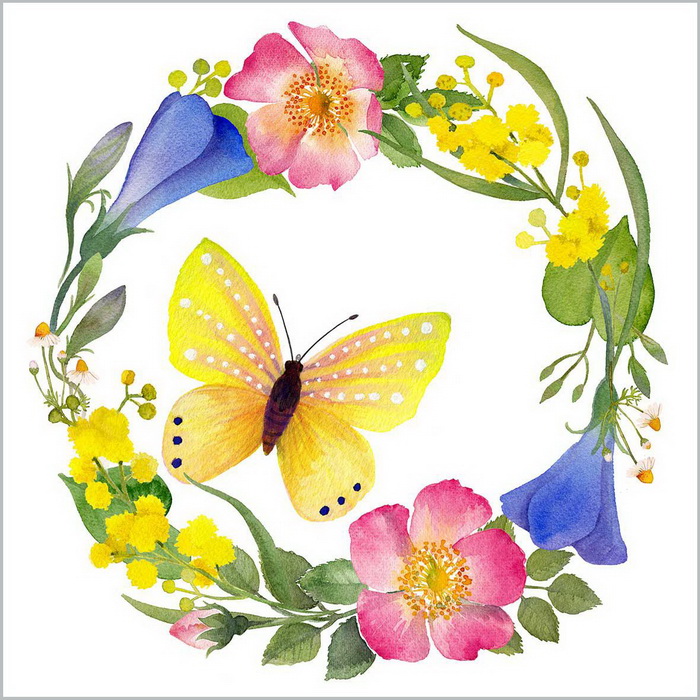 Butterflies - Napkin Shop Butterflies - Napkin Shop