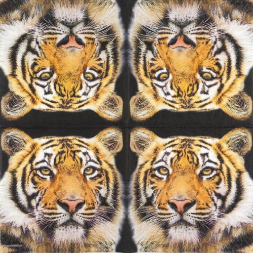 Ambiente-bengal-tiger-13317640