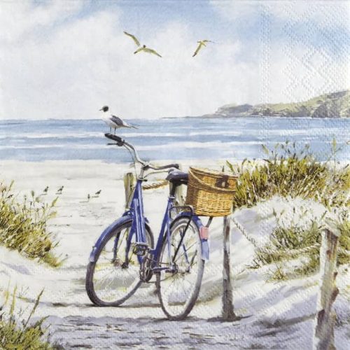 Paper Napkin Bike at the Beach