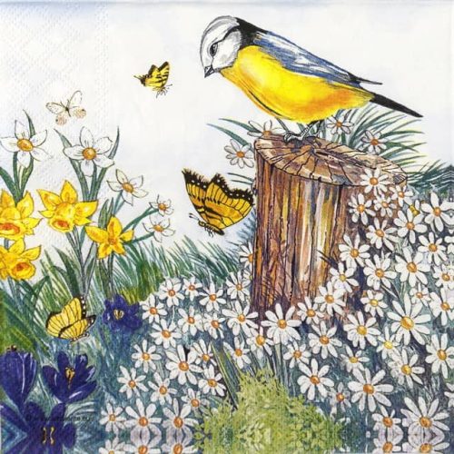 Paper Napkins - Bird Watching (20 pieces)