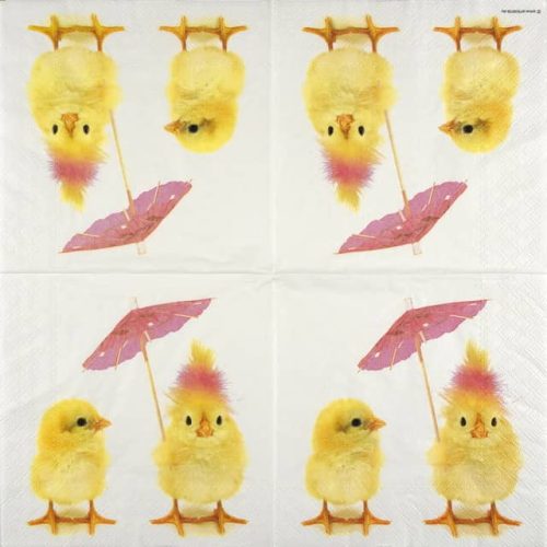 Ambiente-easter-chicks-23317140
