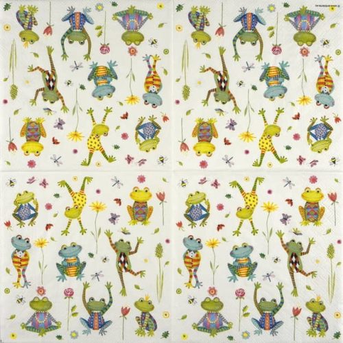 Ambiente-happy-frogs-13317195