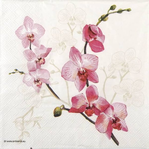 Single Decoupage Napkin - Orchid