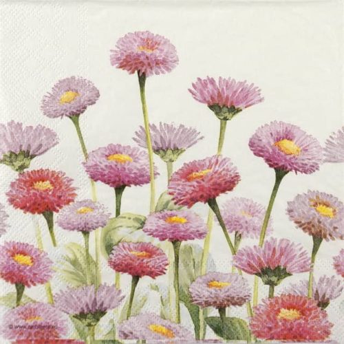 Paper Napkin Painted Bellis