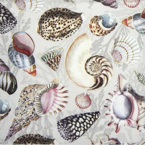 Paper Napkin Shells of the sea