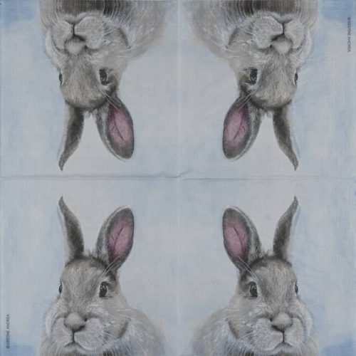 paper-napkin-PPD-niblet-the-bunny-133002271