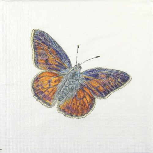 Single Decoupage Napkin - Charlotte Galloux: Papillon