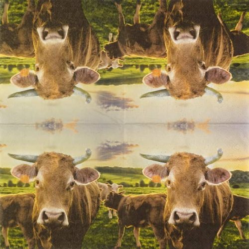 paper-napkin-ambiente-cow-in-sunset-13317525