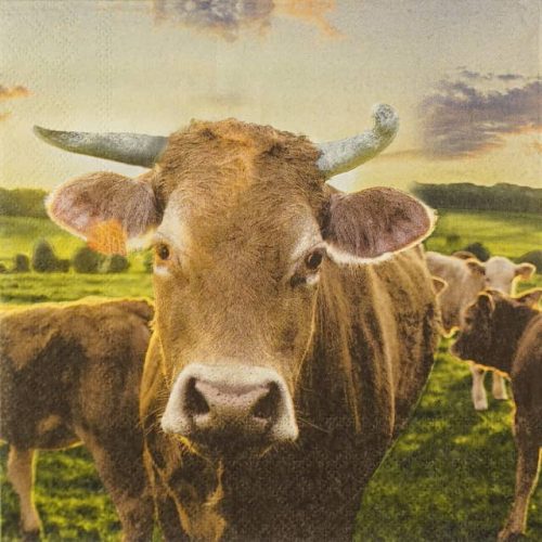 Paper Napkins - Cow In Sunset (20 pieces)