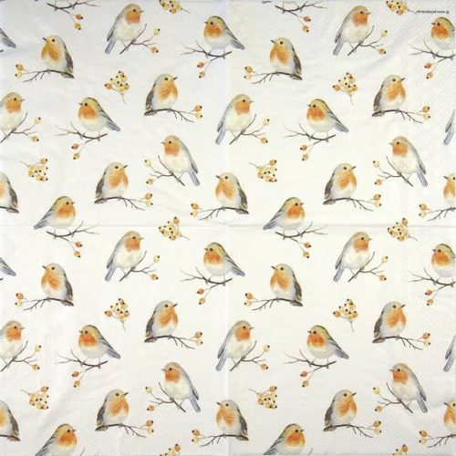 paper-napkin-ambiente-robin-family-33316805