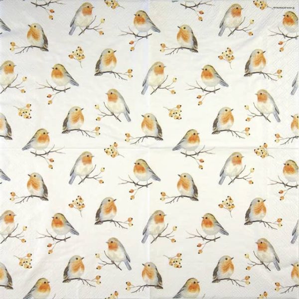 Paper Napkins - Robin Family (20 pieces)