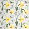 Paper Napkin Narcissus Sketch