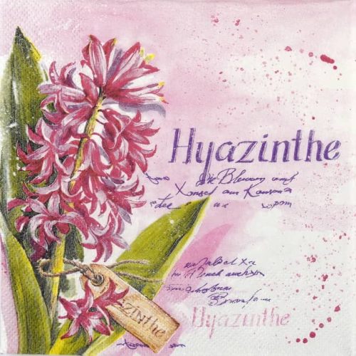 Paper Napkin - Hyazinthe in pink