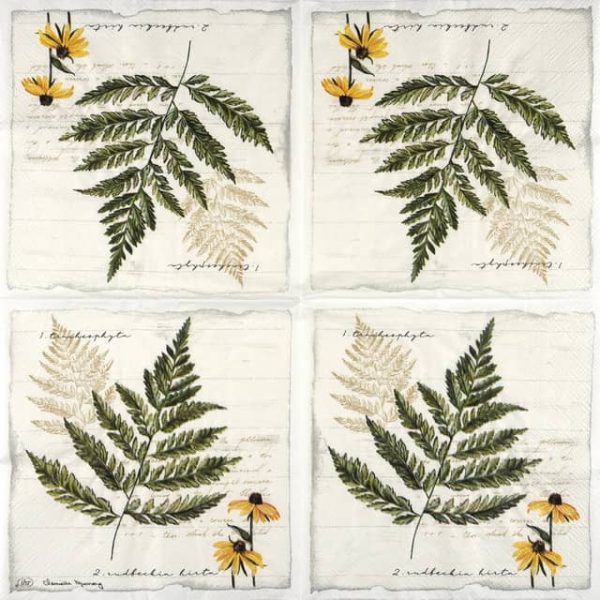 Paper Napkin Fern