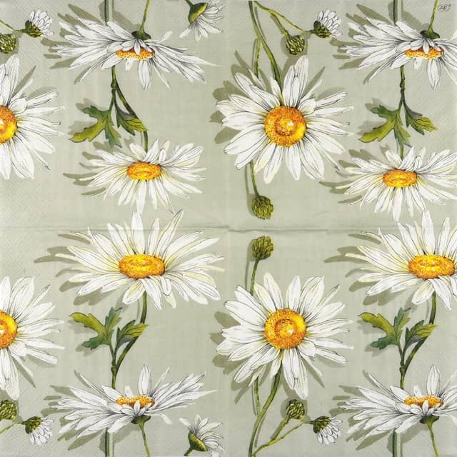 Paper Napkin Daisies on light green background