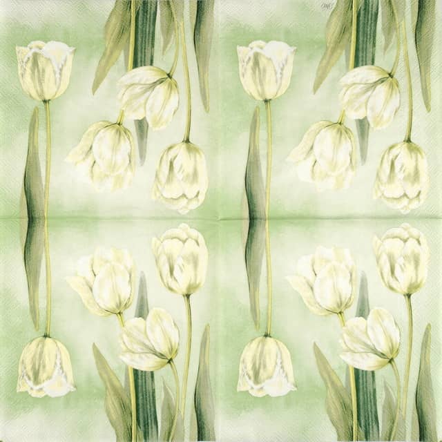Paper Napkin White Tulips
