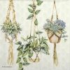 Paper Napkins - Hanging Plants (20 pieces)