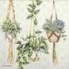 a group of plants from ropes
