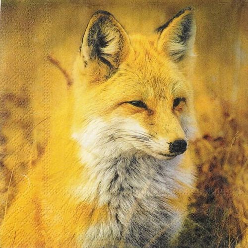 Paper Napkin - Fox