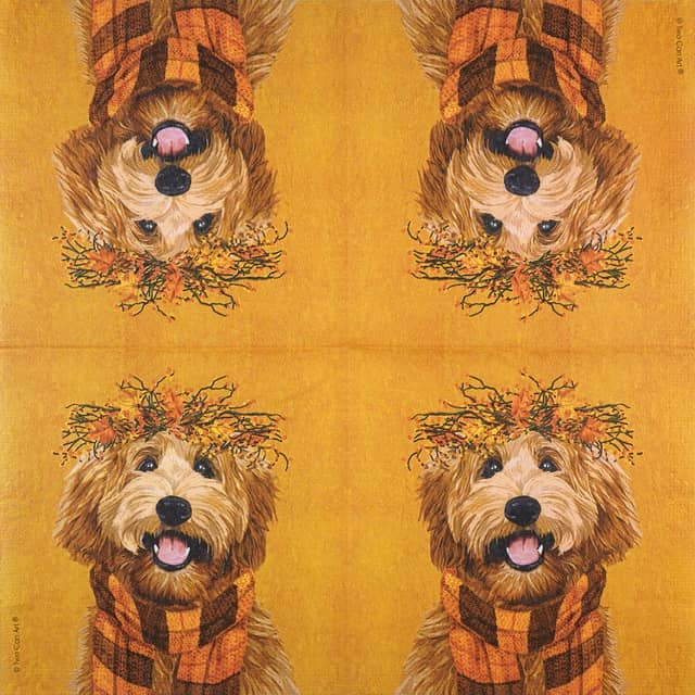 Paper Napkin Autumn dog