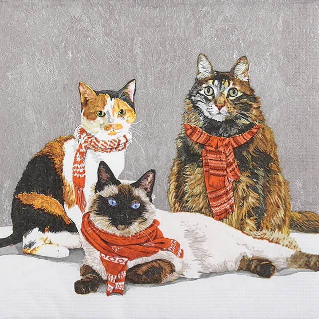 Paper Napkin - Scarf Cats