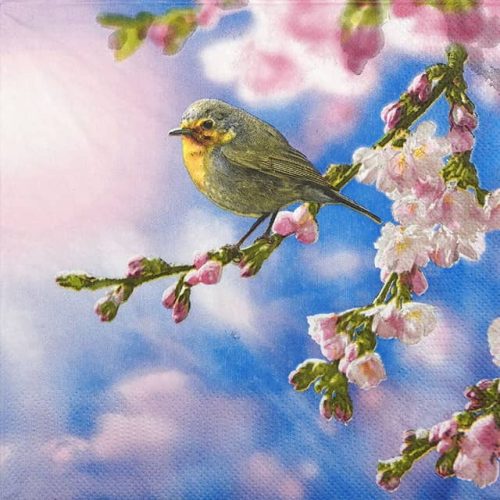 Decoupage Paper Napkins of Birds and Cherry Blossoms