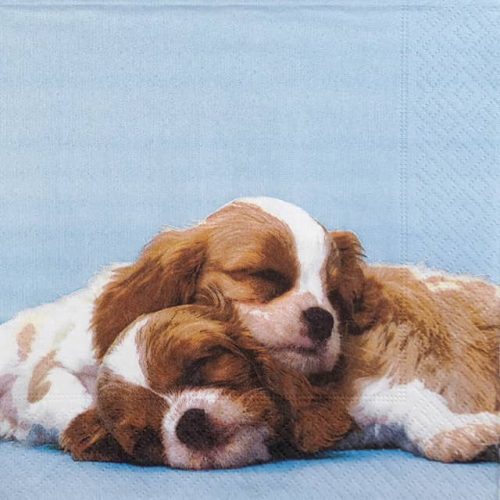 Paper Napkin - Puppy Love