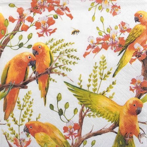 Paper Napkin - Exotic birds