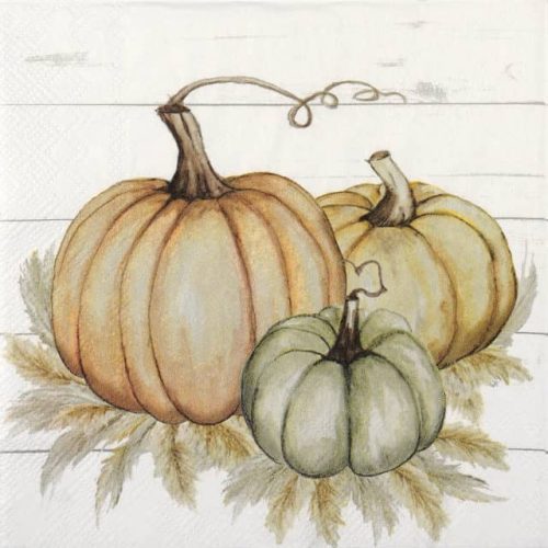 Paper Napkin - Pumpkin Trio