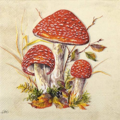 Paper Napkin - tree fly agarics