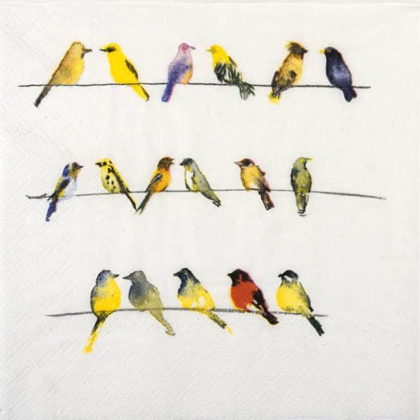 Paper Napkin - Birds community