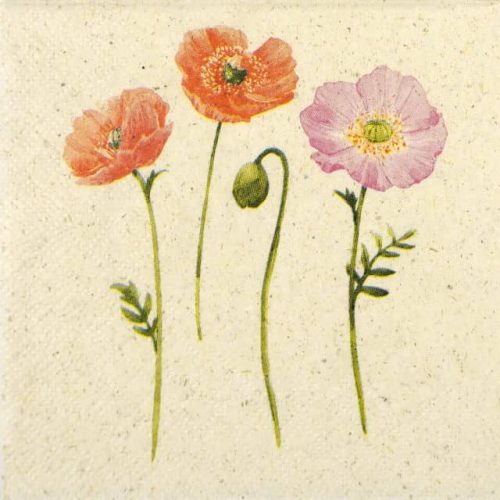 Paper Napkin - Summer Poppies