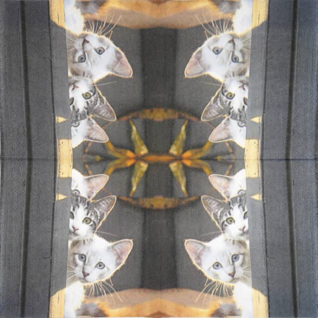 Paper Napkin - Three Cats
