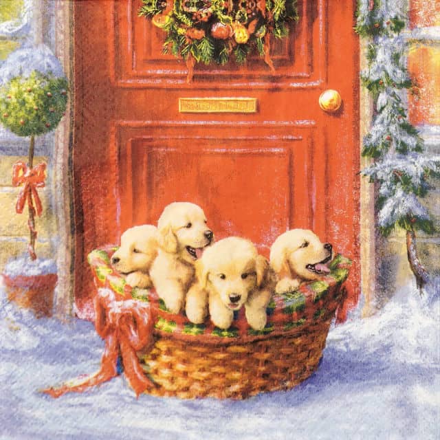 Paper Napkin - Christmas Puppies