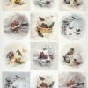 Rice Paper Decoupage - Winter Birds - R2265