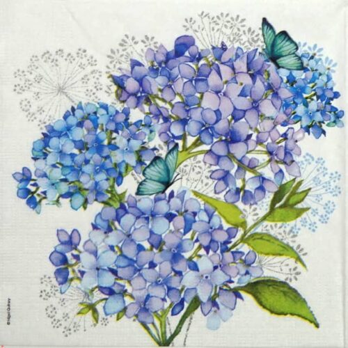 Cocktail Napkin - Nigel Quiney: Hydrangea Provencale