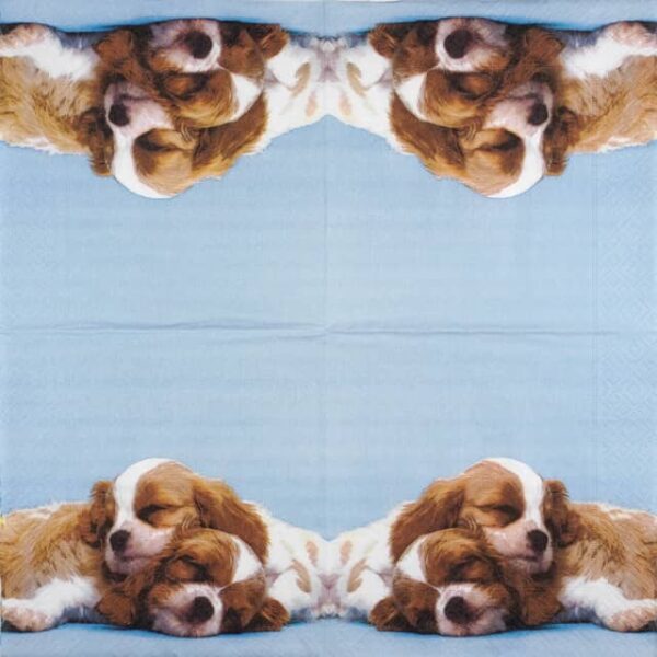 Paper Napkins - Puppy Love (20 pieces)